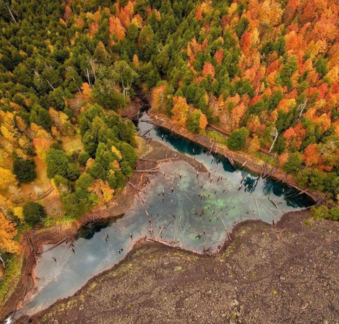 Вилла Brisas Del Llaima Мелипеуко Экстерьер фото